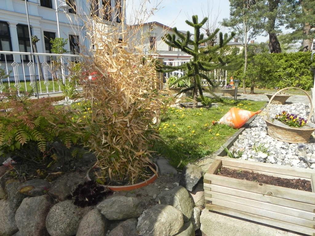 Strandnahe Ferienwohnungen Heringsdorf  Extérieur photo